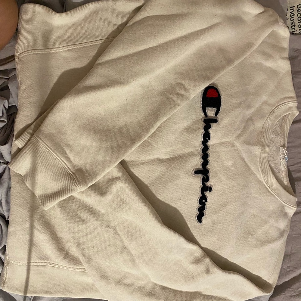 Champion Sweater